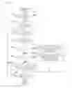 Fig. 10 - Liquid ejection apparatus