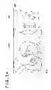 Fig. 33 - Image generation apparatus and image generation method