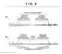 Fig. 10 - Image capturing apparatus, signal processing apparatus and method