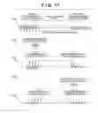 Fig. 12 - Image capturing apparatus, signal processing apparatus and method