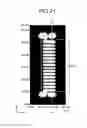 Fig. 16 - Liquid crystal display device having a plurality of comb-shaped portions protruding from an electrode base portion and electronic apparatus
