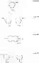 Fig. 12 - LIQUID CRYSTAL COMPOSITION AND LIQUID CRYSTAL DISPLAY PANEL THEREOF