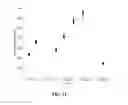 Fig. 14 - Ammonia sensor using wavelength modulation spectroscopy