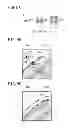 Fig. 08 - Image processing device determining characteristic quantity relating to number of colors