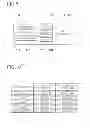 Fig. 07 - Communication device and non-transitory computer-readable storage medium storing program for controlling the communication device