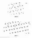 Fig. 07 - Method of generating void pantographs