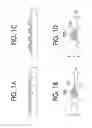 Fig. 02 - LENS ARRAY, AND METHOD OF MANUFACTURING THE SAME