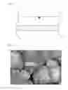 Fig. 02 - PZT-based ferroelectric thin film and method of forming the same