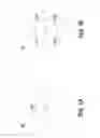 Fig. 02 - Phosphor device and illumination system using same