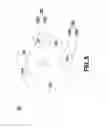 Fig. 06 - Phosphor device and illumination system using same