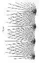 Fig. 44 - Lighting assembly