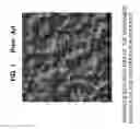 Fig. 02 - Light diffusion film, method of specifying surface shape of light diffusion film, and recording medium on which surface shape specification program is recorded
