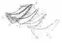 Fig. 01 - Automotive light