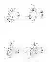 Fig. 06 - Automotive light