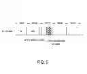 Fig. 06 - Electronic timepiece and reception control method of an electronic timepiece