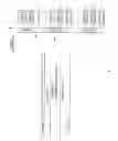 Fig. 06 - Radio reception device and radio reception method