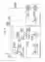 Fig. 06 - Image processing apparatus and method