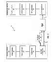 Fig. 02 - RTP payload format designs