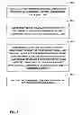 Fig. 09 - RTP payload format designs