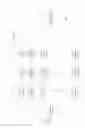Fig. 02 - Randomization using an XOR scrambler in multicarrier communications