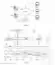 Fig. 02 - Validating a user's identity utilizing information embedded in a image file