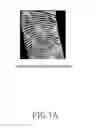 Fig. 02 - Fingerprint recognition method and electronic device thereof