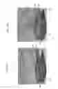Fig. 04 - Color-based reaction testing of biological materials