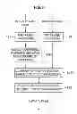 Fig. 09 - Image processing apparatus and image processing method for determining disparity