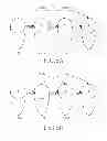 Fig. 06 - Apparatus and method for video sensor-based human activity and facial expression modeling and recognition