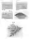 Fig. 04 - Image processing for forming realistic stratum detritus detail in a camouflage pattern and a camouflage pattern formed thereby
