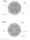 Fig. 07 - Optical component assembly for use with an optical device