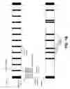 Fig. 03 - Adjusting carrier spacing in a channel