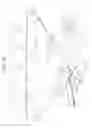 Fig. 16 - Image forming apparatus