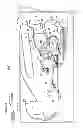 Fig. 02 - Developing cartridge and process cartridge for stably rotating developing roller
