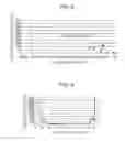 Fig. 06 - Transfer device and image forming apparatus