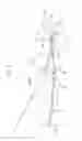 Fig. 03 - IMAGE FORMING APPARATUS