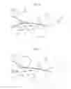 Fig. 04 - IMAGE FORMING APPARATUS