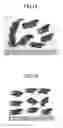 Fig. 09 - Drill