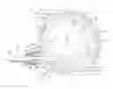 Fig. 01 - Peristaltic pump and pumphead therefor