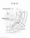Fig. 06 - Pump having an inner and outer rotor