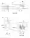 Fig. 04 - Nitric oxide delivery devices