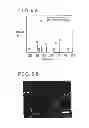 Fig. 07 - Method of manufacturing ferrous oxide nanoparticle, method of forming carbon nanotube, and ferrous oxide nanoparticle