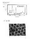 Fig. 09 - Method of manufacturing ferrous oxide nanoparticle, method of forming carbon nanotube, and ferrous oxide nanoparticle