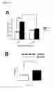 Fig. 06 - METHODS FOR DIAGNOSING AND TREATING ALZHEIMER'S DISEASE BY ADMINISTERING AN ANTI-ANGIOGENIC AGENT