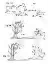 Fig. 05 - System and methods for detecting efforts to thwart material detection by service animals