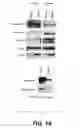 Fig. 02 - METHODS FOR IDENTIFICATION AND USE OF AGENTS  TARGETING CANCER STEM CELLS