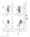 Fig. 06 - METHODS FOR IDENTIFICATION AND USE OF AGENTS  TARGETING CANCER STEM CELLS