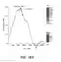 Fig. 40 - METHODS FOR IDENTIFICATION AND USE OF AGENTS  TARGETING CANCER STEM CELLS