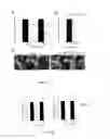 Fig. 02 - Cell and therapeutical and diagnostical methods based thereon