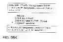 Fig. 131 - GLYCOPEGYLATION METHODS AND PROTEINS/PEPTIDES PRODUCED BY THE METHODS